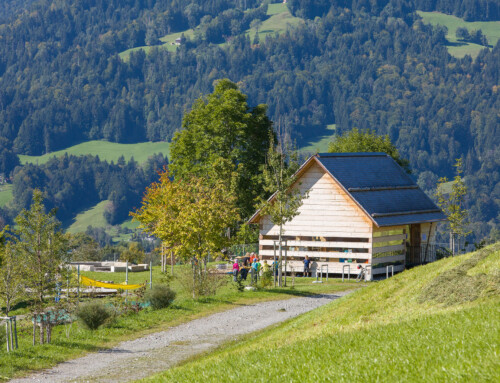 Naturkindergarten-Lingenau